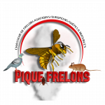 chasseur de frelons asiatiques européens guêpes, nuisibles